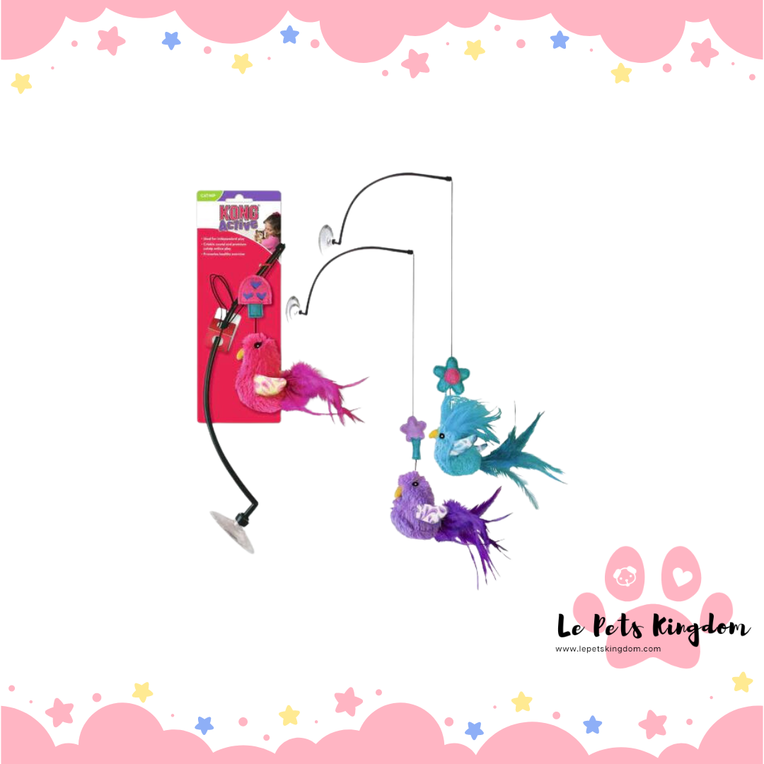 KONG Connects Window Teaser Cat Toy