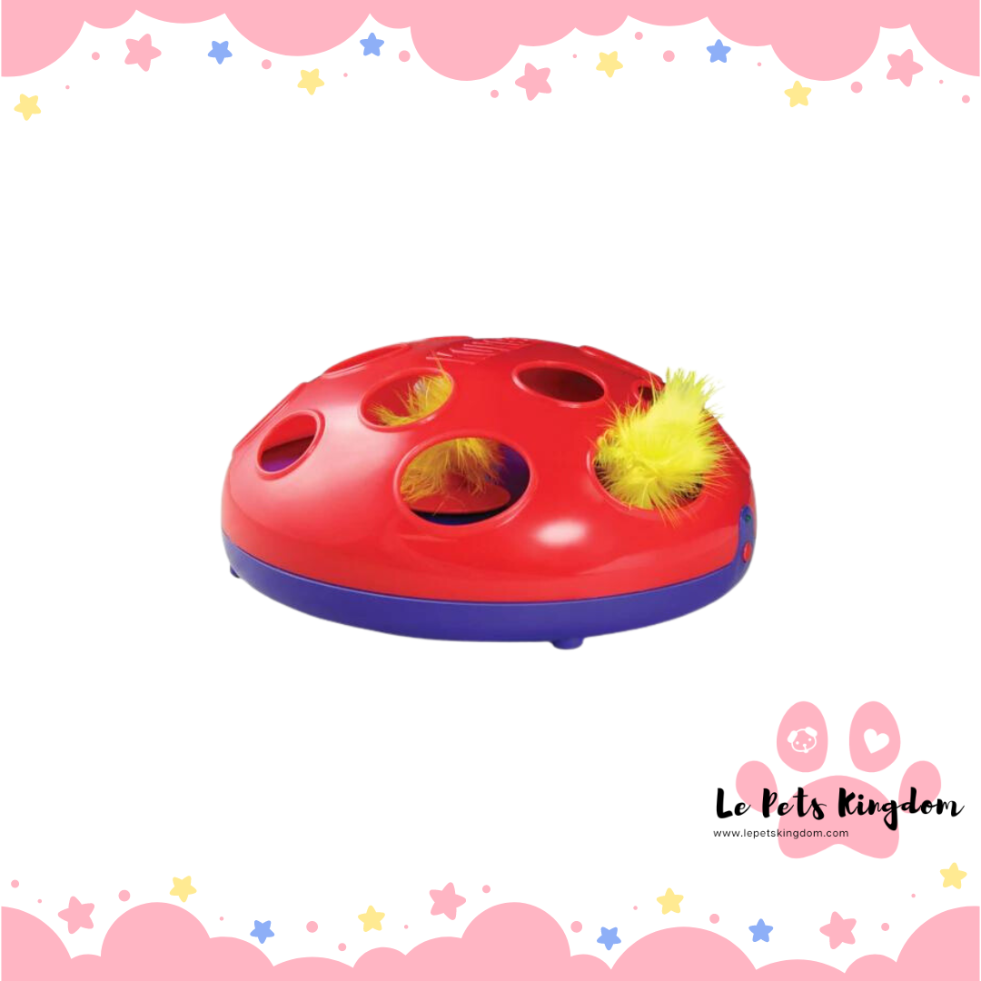 KONG Glide ‘N Seek Interactive Cat Toy