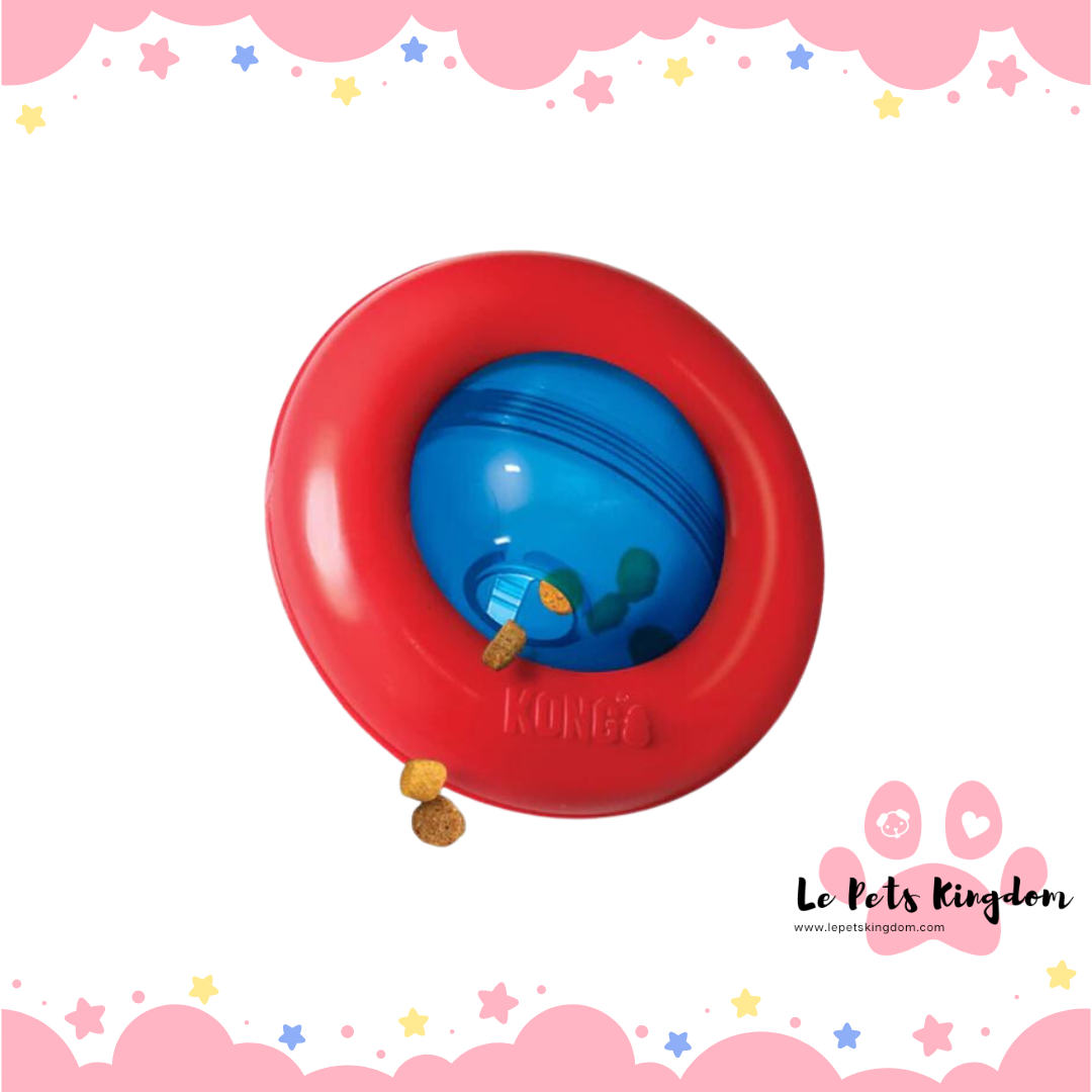 Kong Gyro Interactive Dog Toy