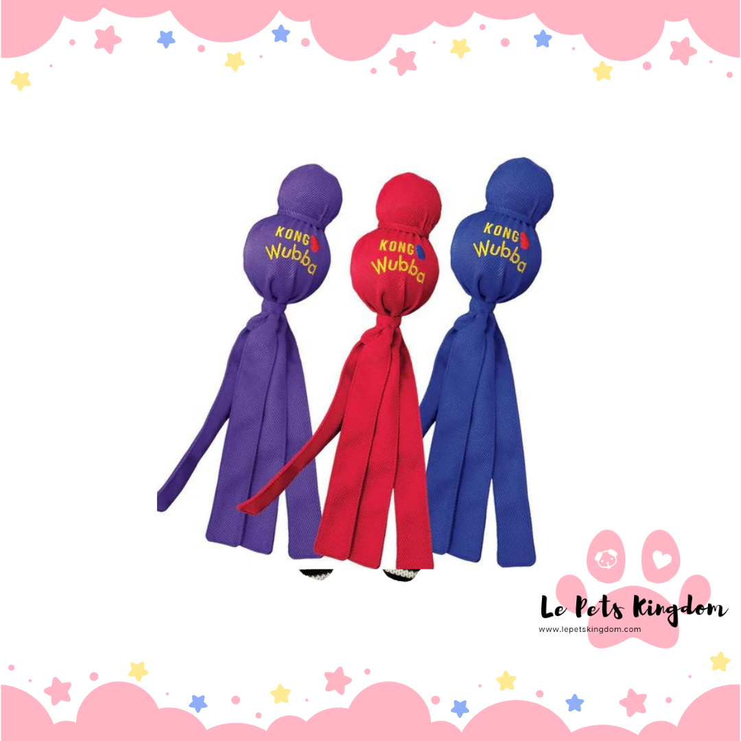 KONG Wubba Classic Dog Toy