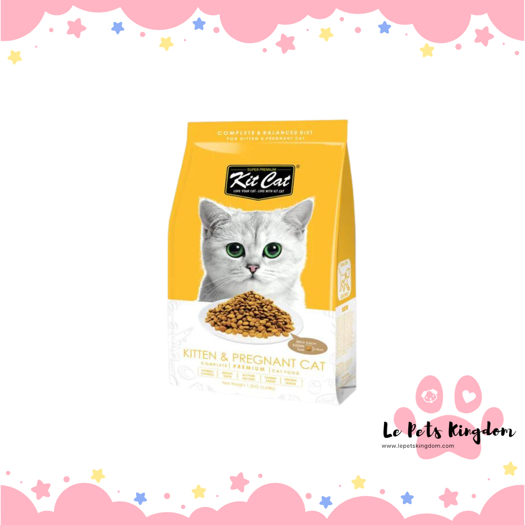 Kit Cat Kitten & Pregnant Dry Cat Food