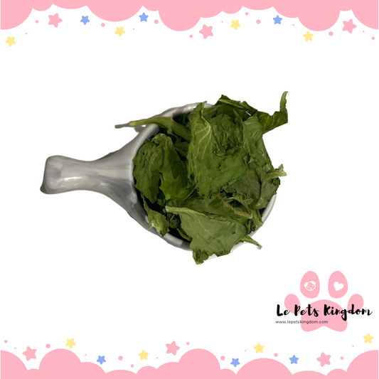 Homemade Le Pets Kingdom