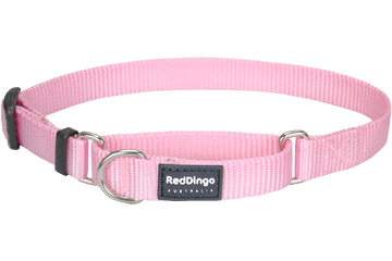 RedDingo - Martingale Half Check Dog Collar 25mm