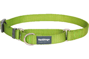 RedDingo - Martingale Half Check Dog Collar 25mm