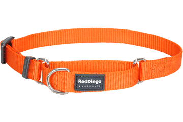RedDingo - Martingale Half Check Dog Collar 25mm