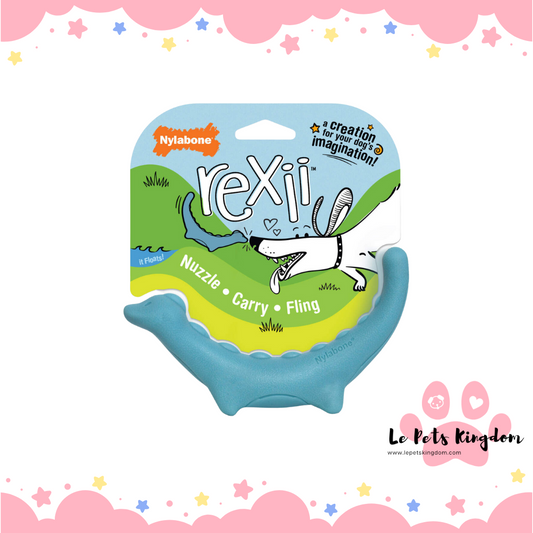 Nylabone Creative Play - Rexii