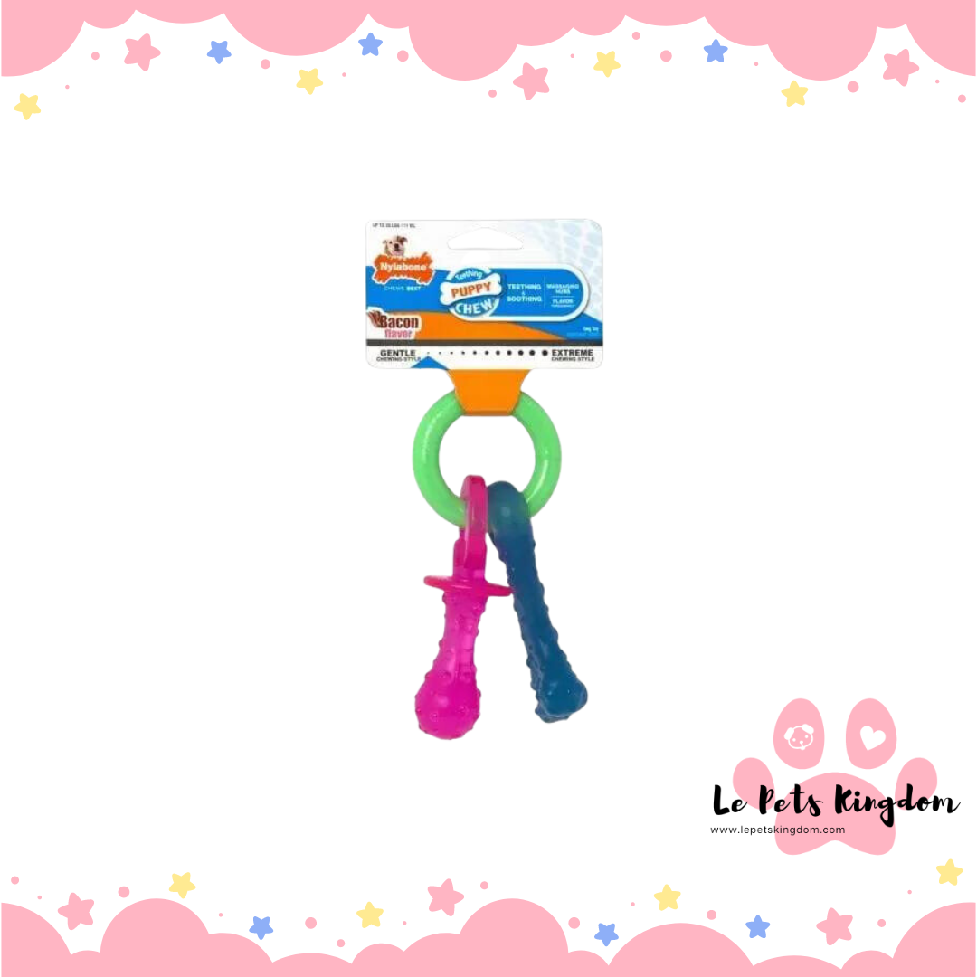 Nylabone Puppy Pacifier Teething Toy X-Small