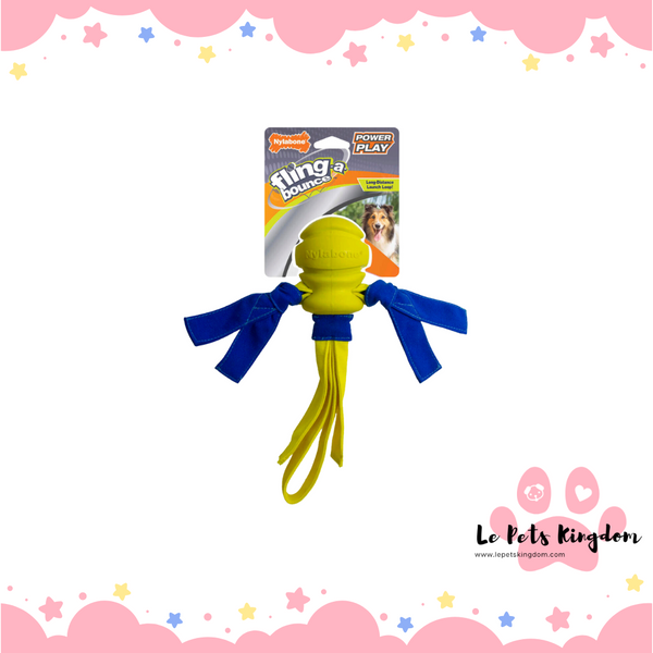 Nylabone Power Play - Fling-A-Bounce