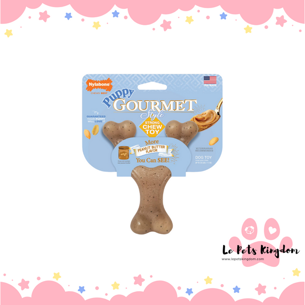 Nylabone Strong Chew Puppy Wishbone