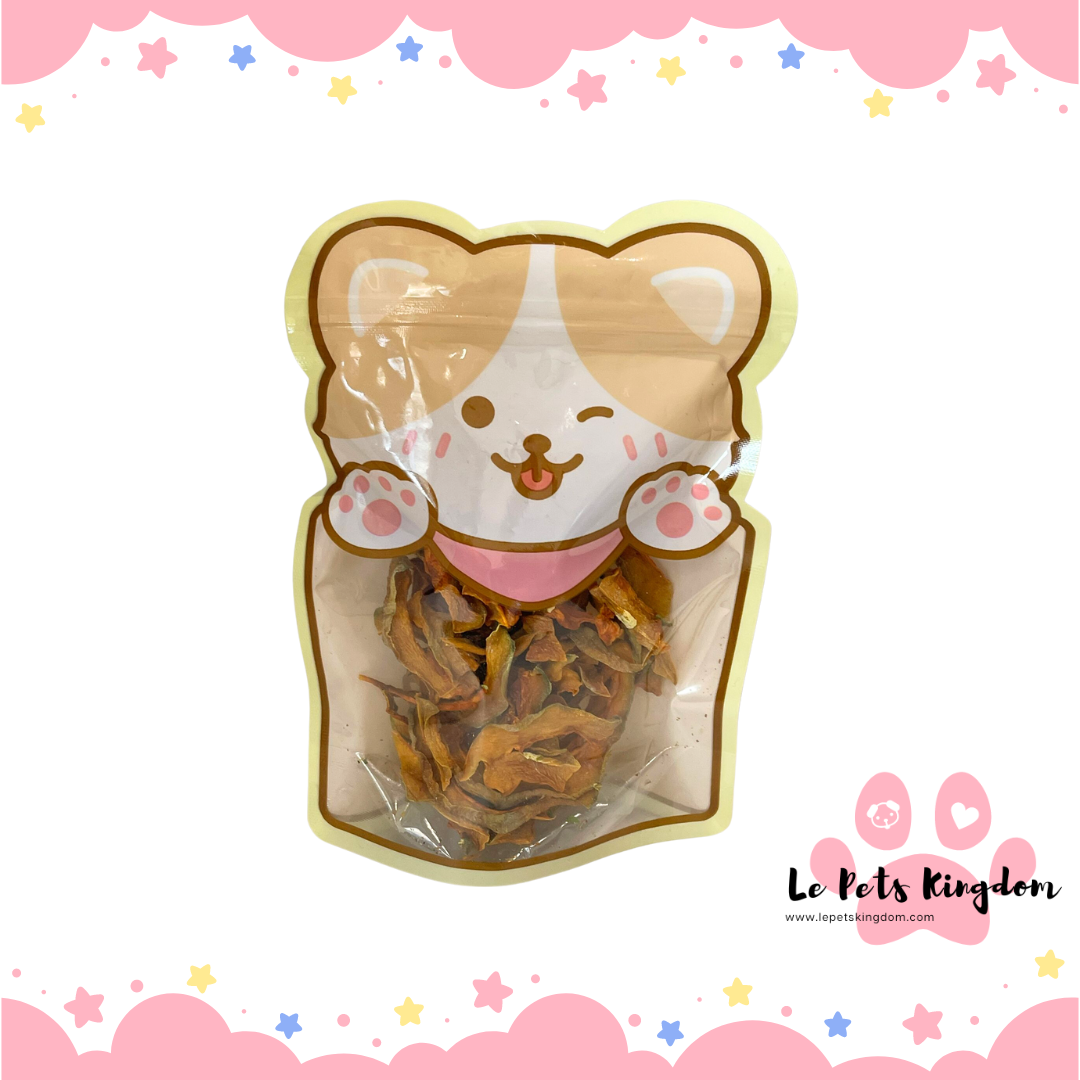 Homemade Dehydrated Pumpkin Treats
