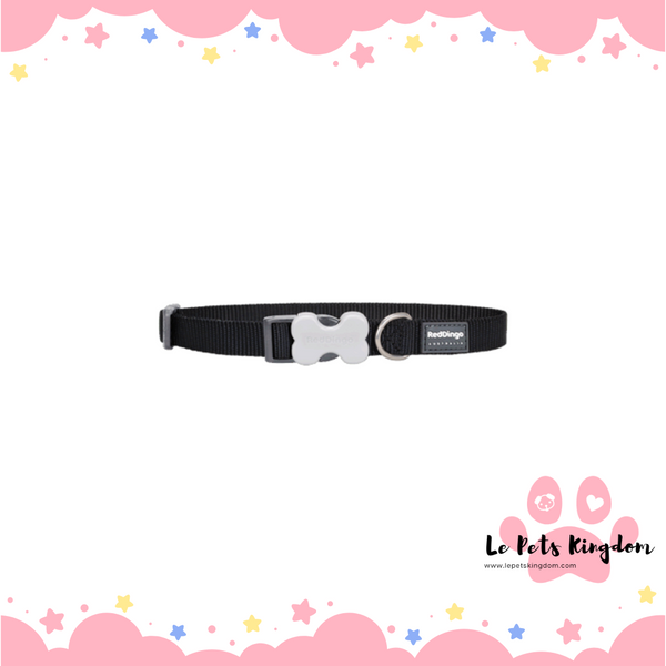 RedDingo - Bucklebone Dog Collar 15mm