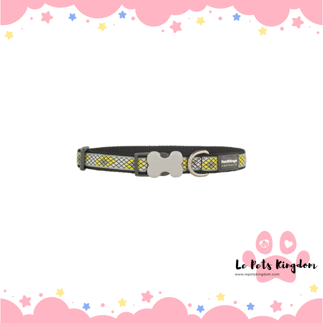 RedDingo - Bucklebone Monty Dog Collar 15mm