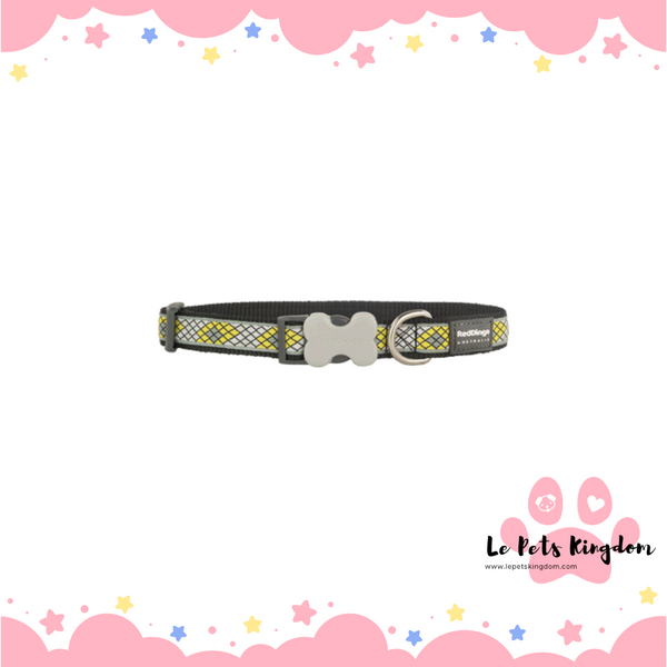 RedDingo - Bucklebone Monty Dog Collar 20mm