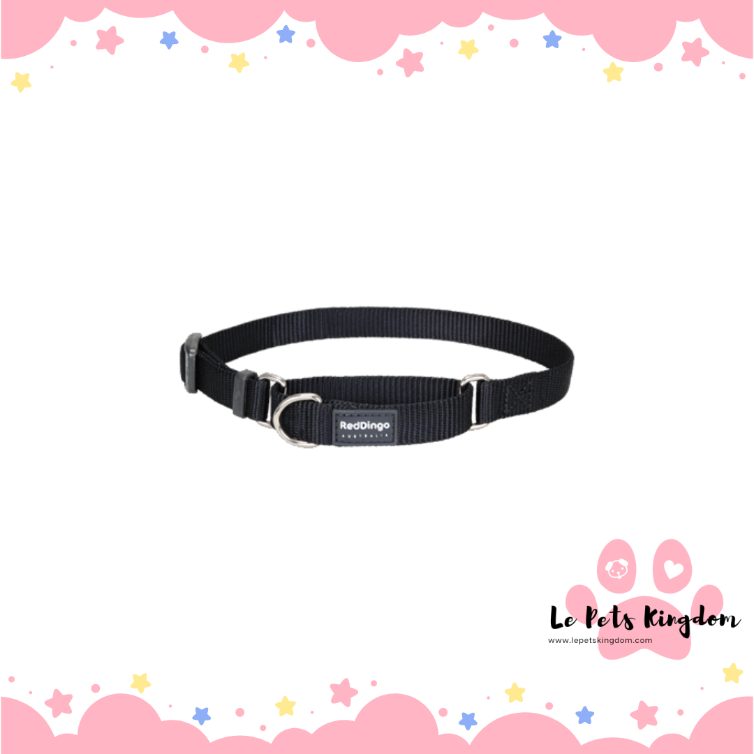 RedDingo - Martingale Half Check Dog Collar 25mm