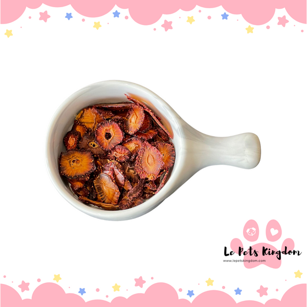 Homemade Dehydrated Strawberry Treats