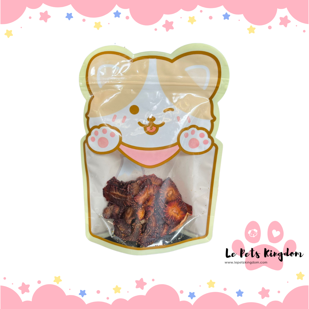 [10.10 SALE] Homemade Dehydrated Fruit Treats 30g X 2 Packs