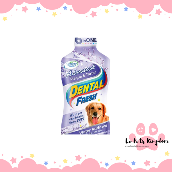 SynergyLab Dental Fresh Plaque/Tartar 17oz