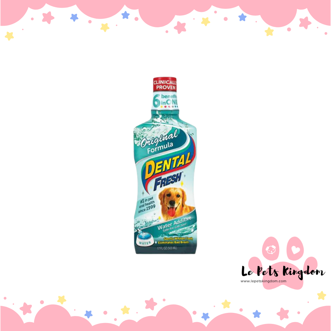 SynergyLab Dental Fresh For Dog 16oz