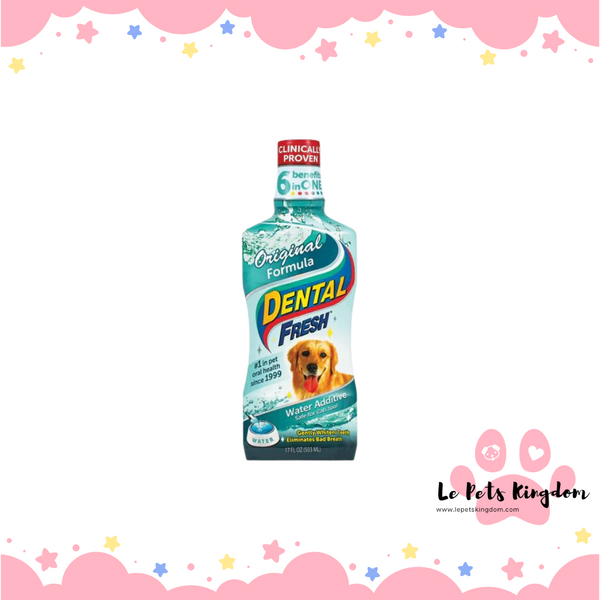 SynergyLab Dental Fresh For Dog 16oz
