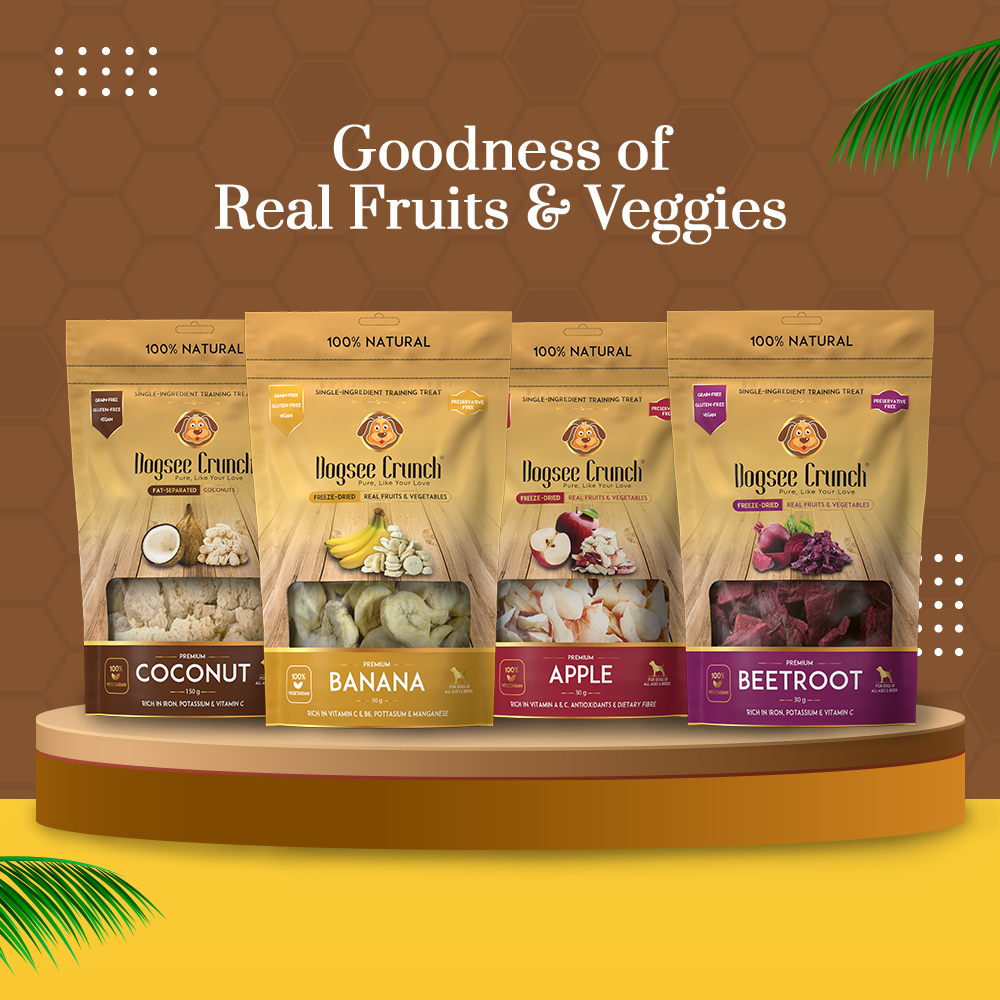 [BUNDLE OF 4] Dogsee Crunch Coconut Grain-Free Dog Treats 50g