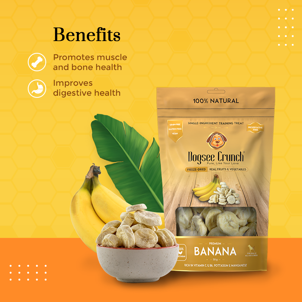 [BUNDLE OF 4] Dogsee Crunch Banana Freeze-Dried Dog Treats 15g