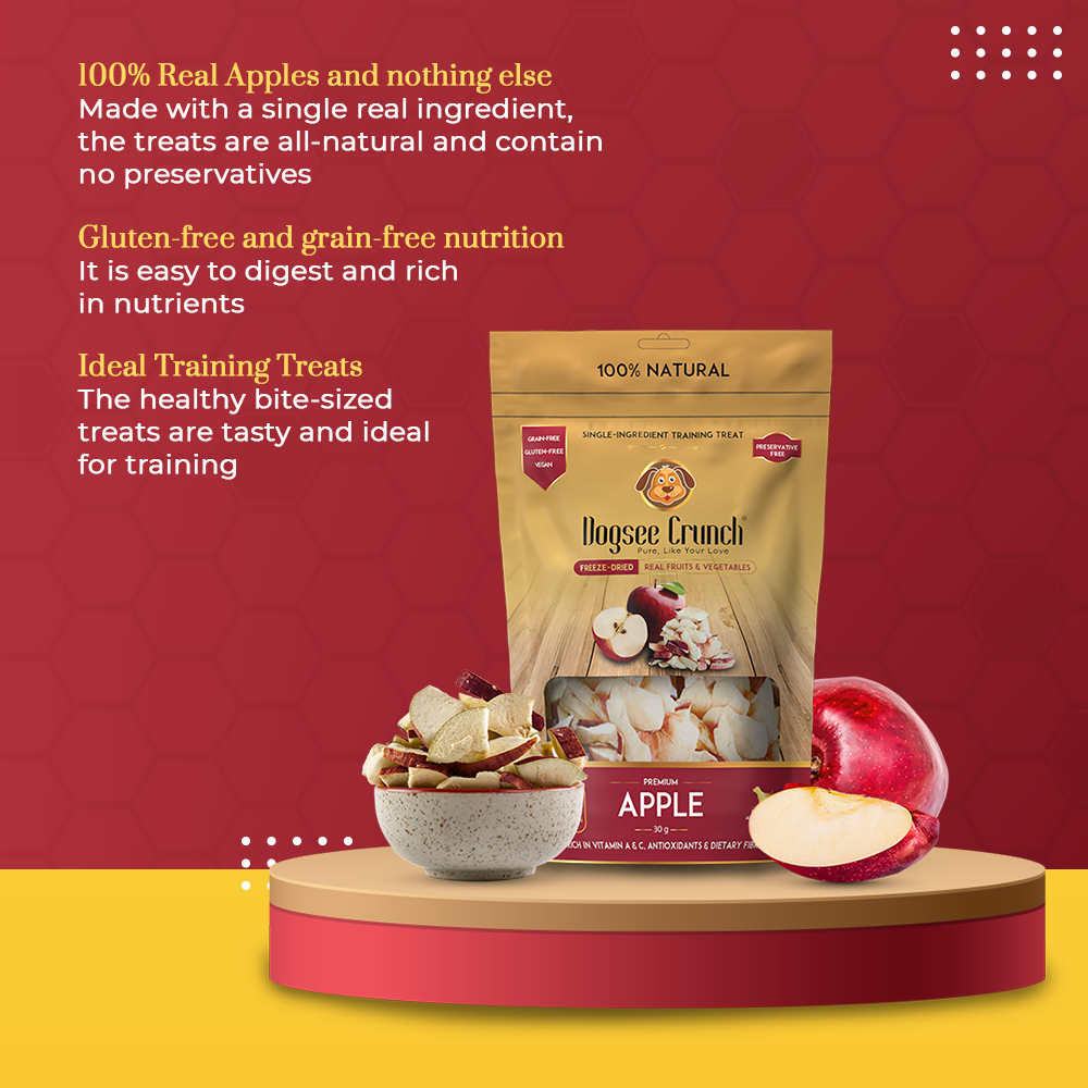 [BUNDLE OF 4] Dogsee Crunch Apple Freeze-Dried Dog Treats 10g