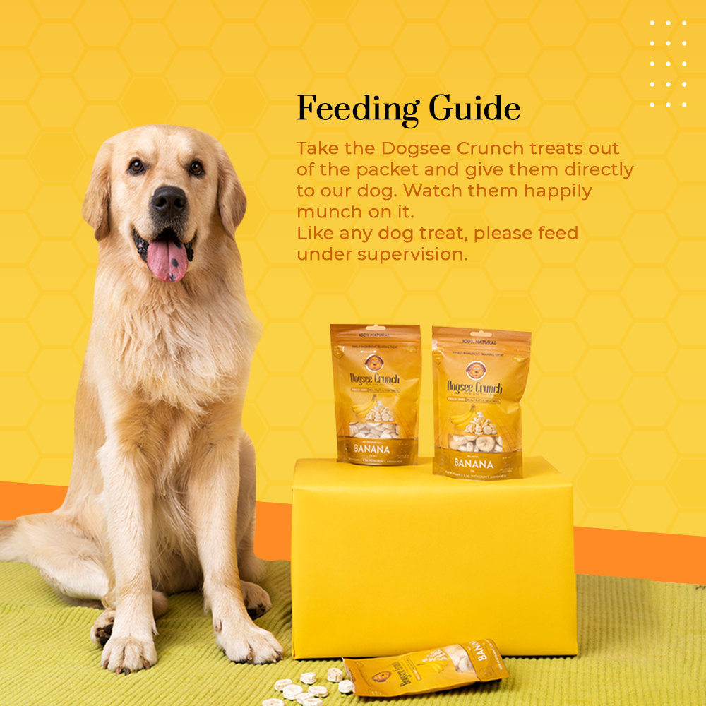 [BUNDLE OF 4] Dogsee Crunch Banana Freeze-Dried Dog Treats 15g