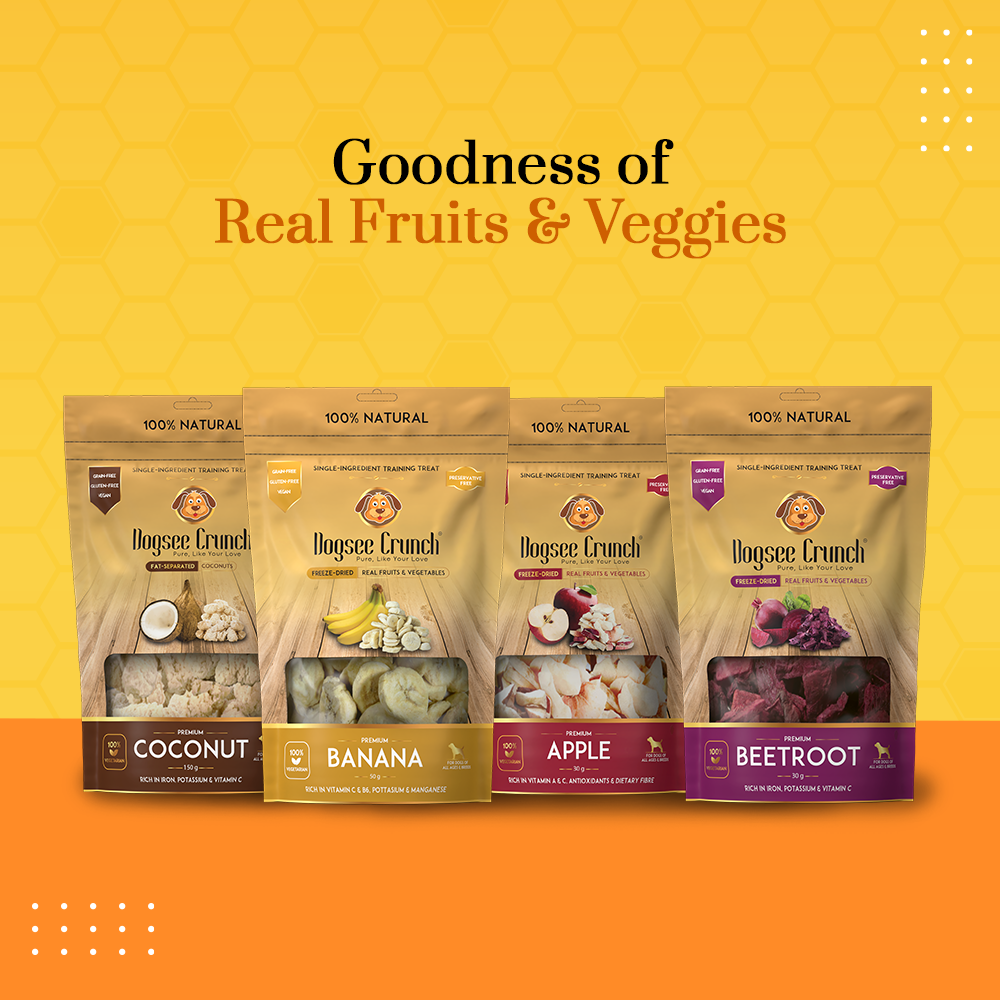 [BUNDLE OF 4] Dogsee Crunch Banana Freeze-Dried Dog Treats 15g
