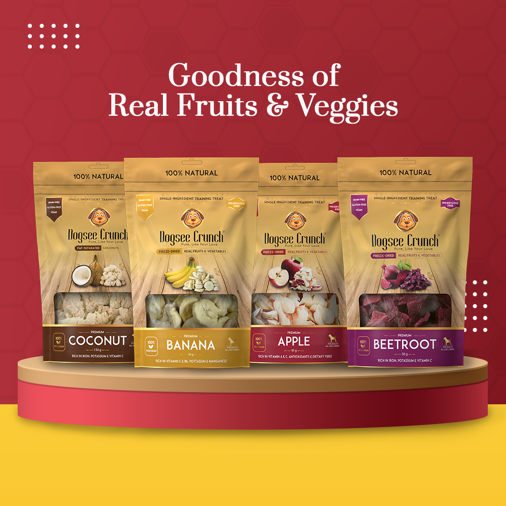 [BUNDLE OF 4] Dogsee Crunch Apple Freeze-Dried Dog Treats 10g