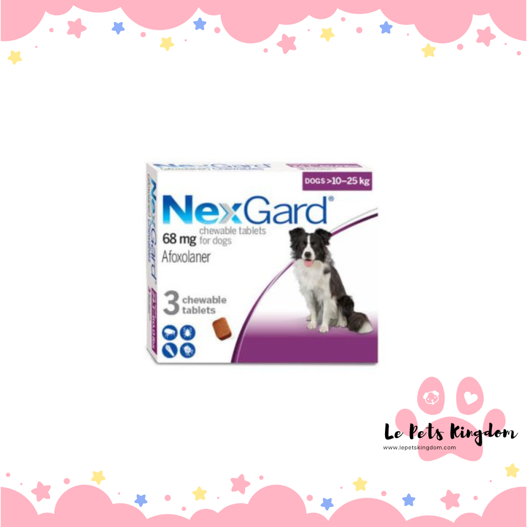 Nexgard Flav Chew Dog L 10-25kg 3pips (Purple)