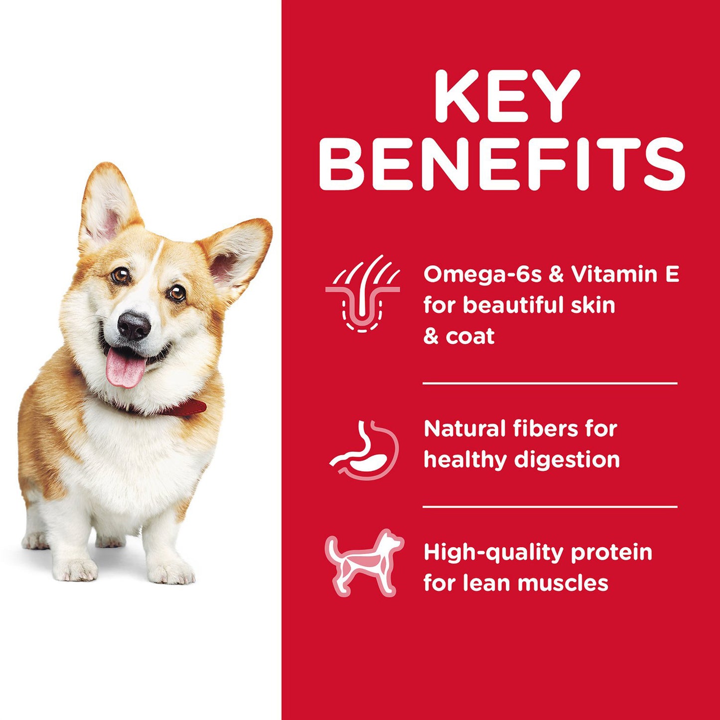 Hills Science Diet Adult Original Small Bites Chicken & Barley Dry Dog Food