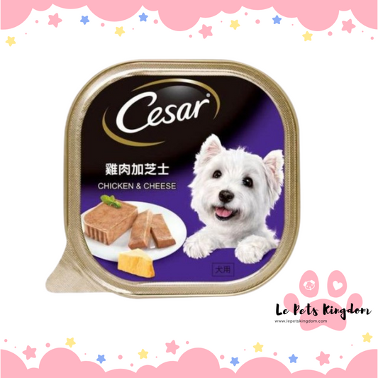 Cesar Chicken & Cheese Wet Dog Food 100g