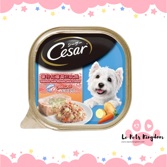 Cesar Salmon with Potato & Carrot Dog Wet Food 100g