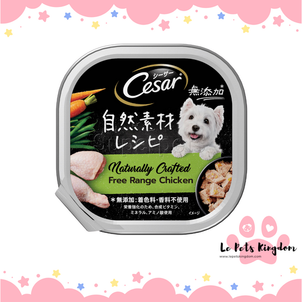 Cesar Naturally Crafted Free Range Chicken Dog Wet Food 85g