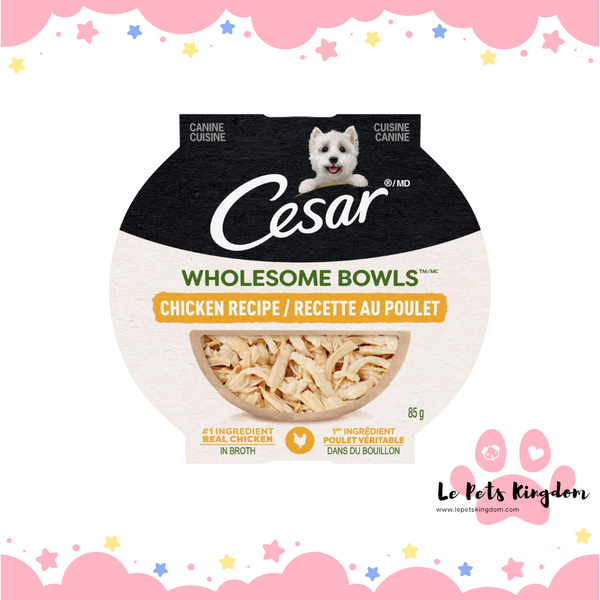 CESAR WHOLESOME BOWLS™ Adult Wet Dog Food Chicken 85g