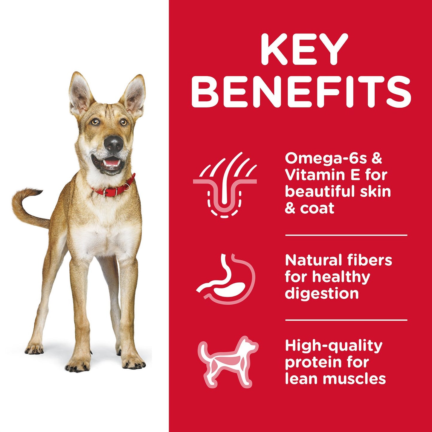 Hills Science Diet Adult Chicken & Barley Recipe Dry Dog Food