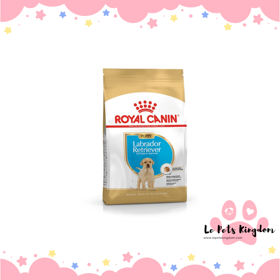 Royal Canin Labrador Puppy Dry Dog Food