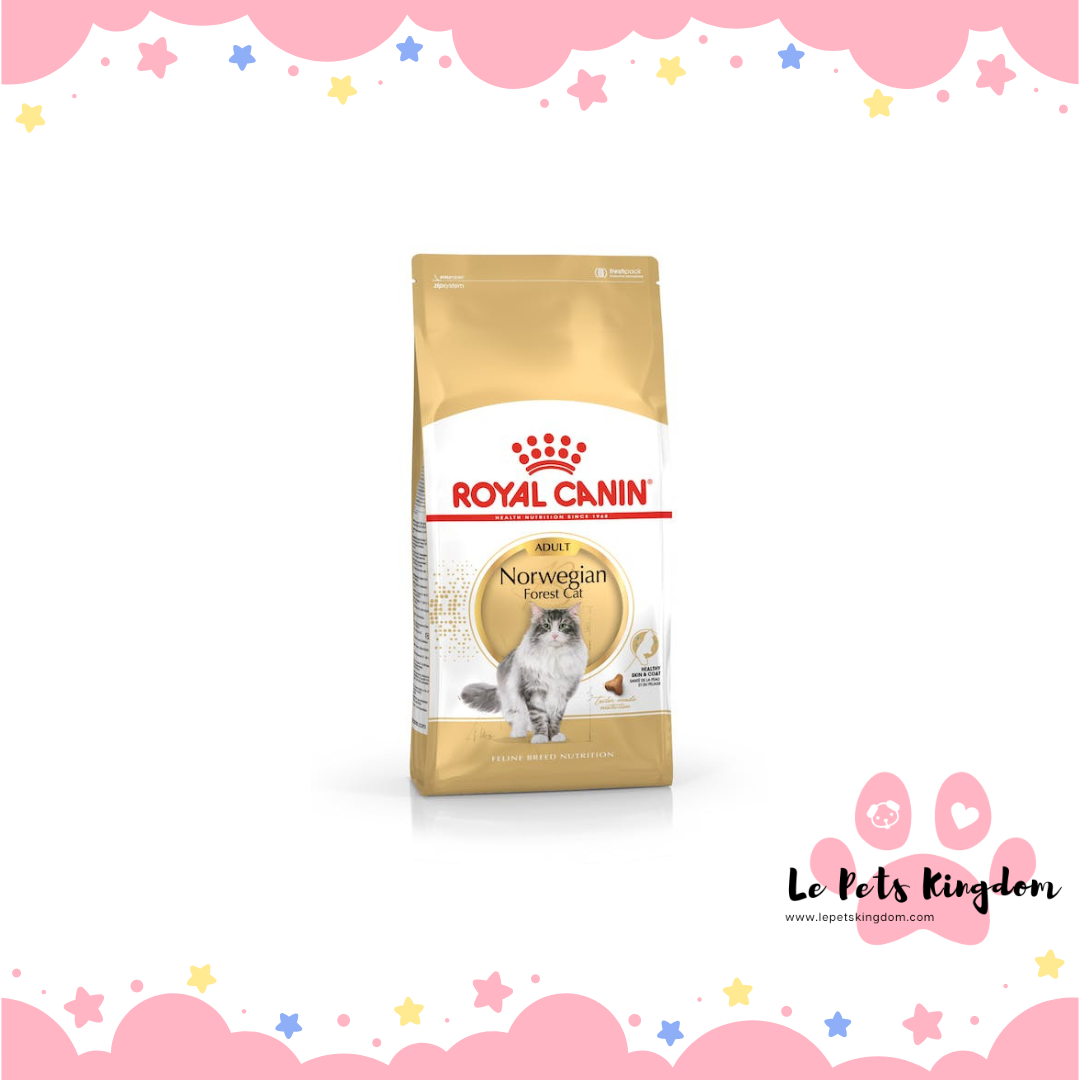 Royal Canin Feline Norwegian Forrest Adult Dry Cat Food 2KG