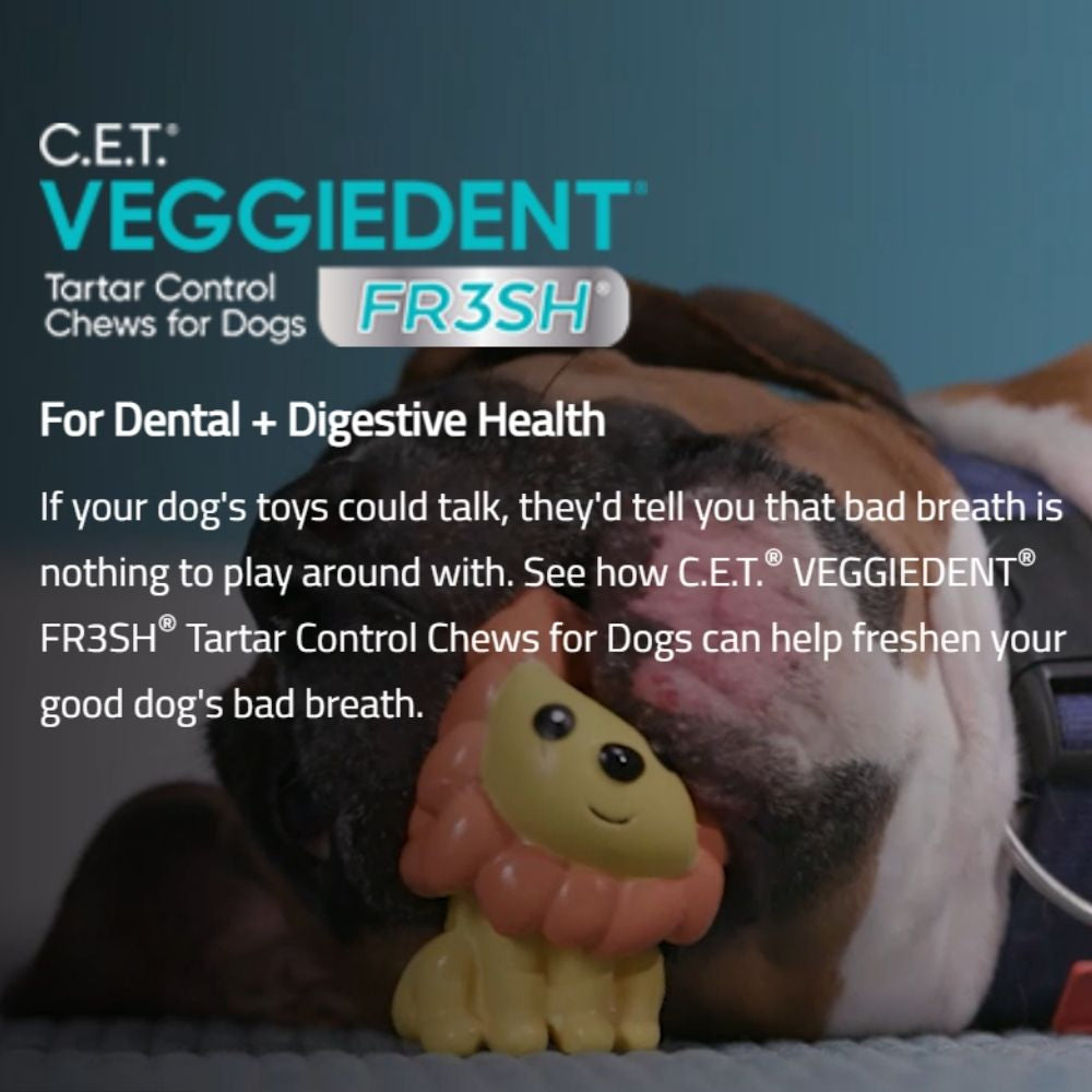 Virbac C.E.T. Veggiedent Dental Dog Chews 224g