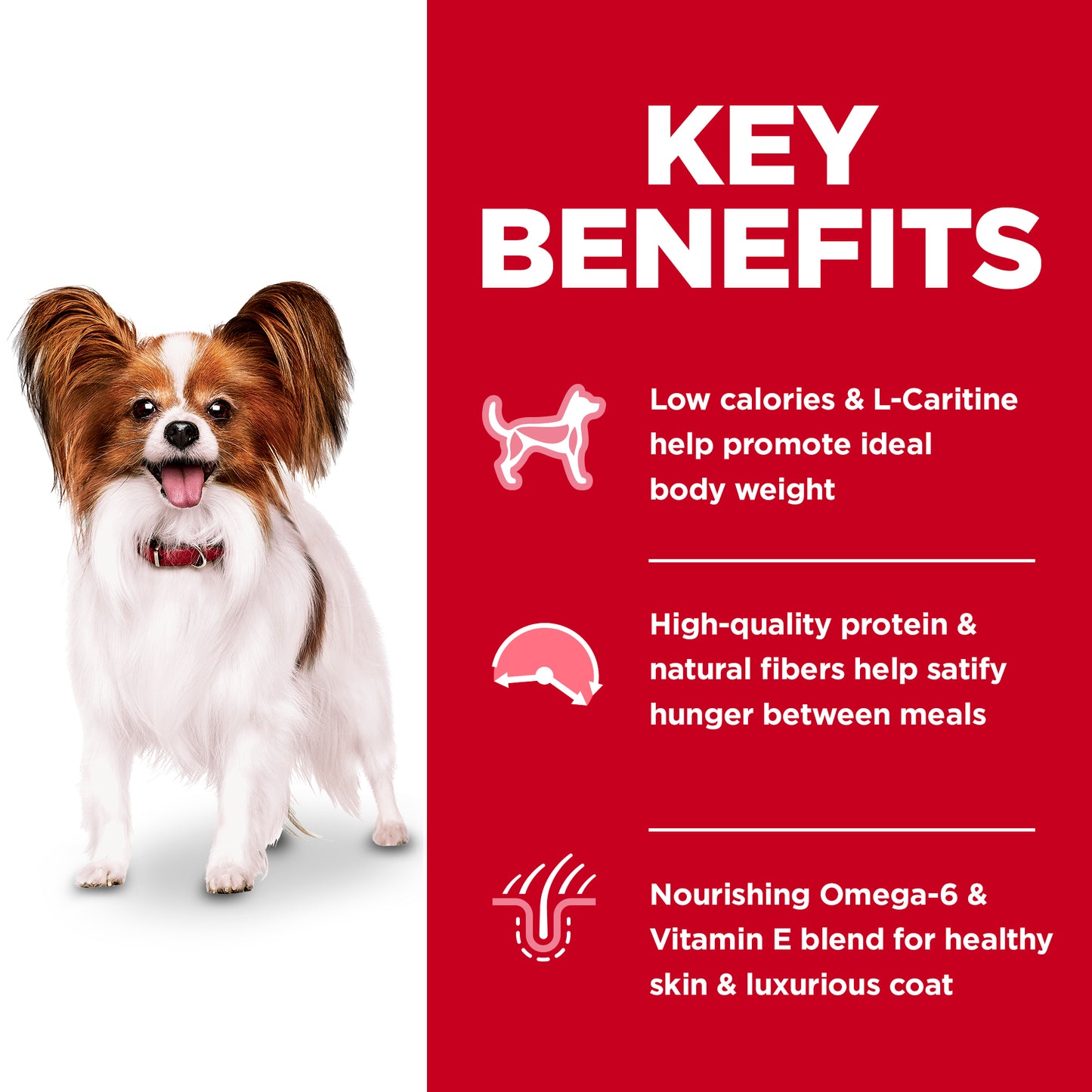 Hills Science Diet Adult Small Paws Light Dry Dog Food 1.5kg