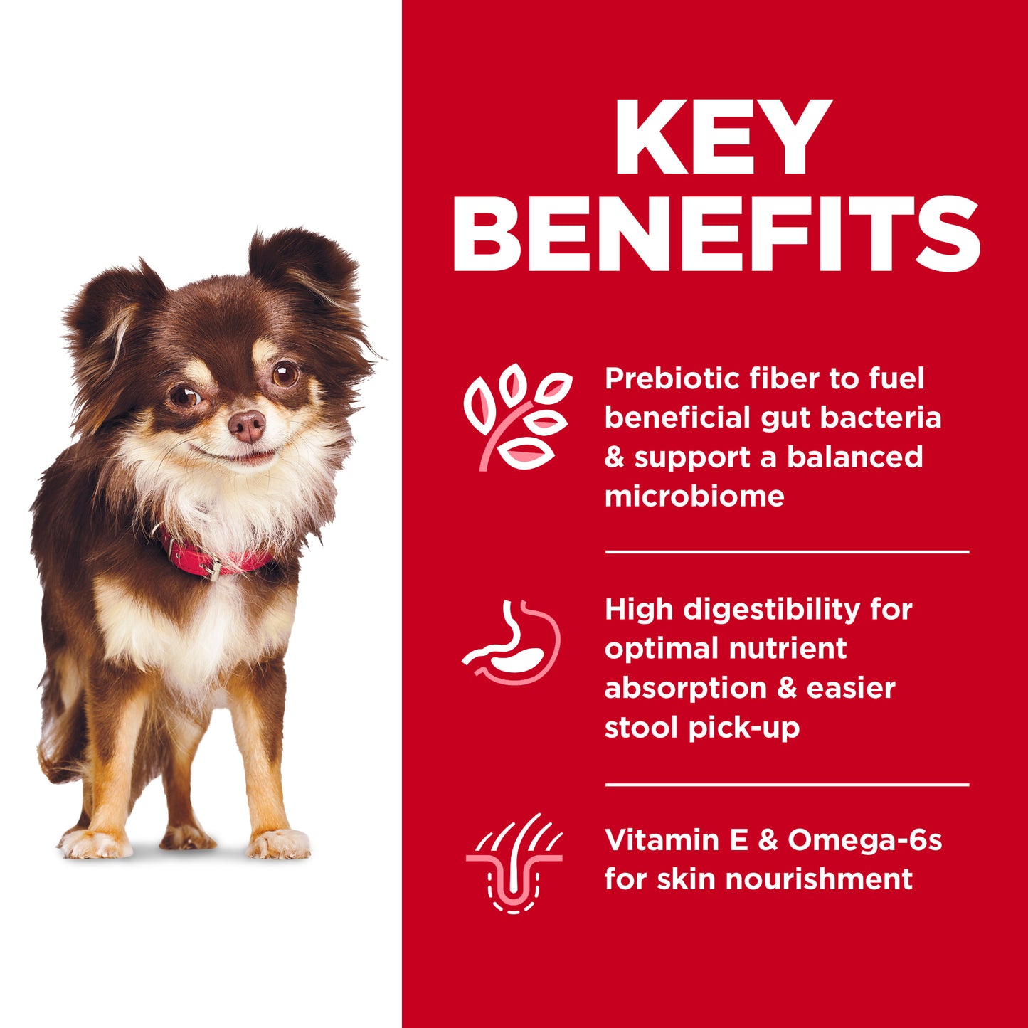 Hills Science Diet Sensitive Stomach & Skin Small and Mini Adult Dry Dog Food 1.8kg