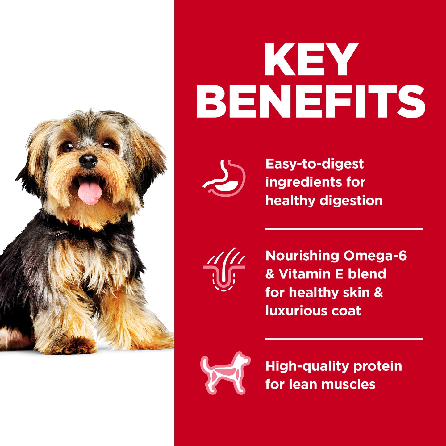 Hills Science Diet Adult Small Paws Chicken Dry Dog Food