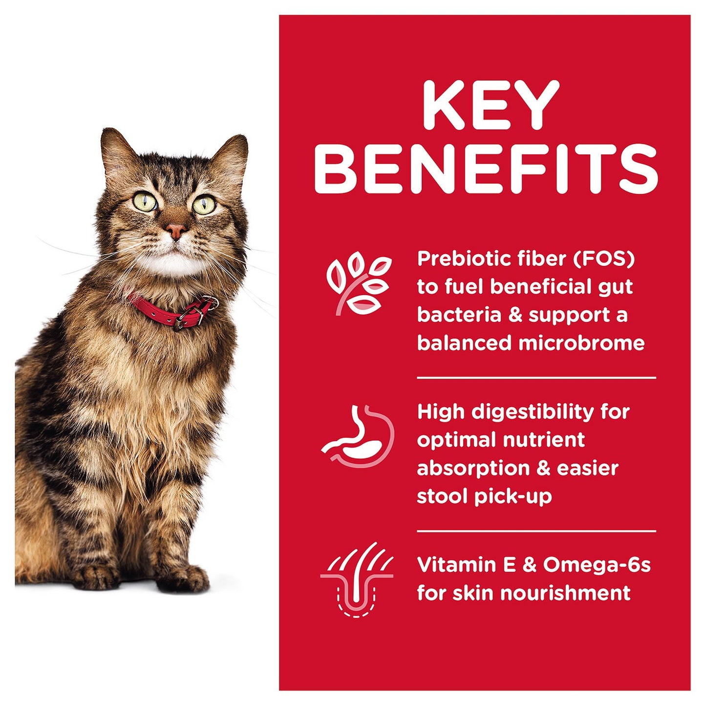 Hills Science Diet Adult Sensitive Stomach & Skin Dry Cat Food