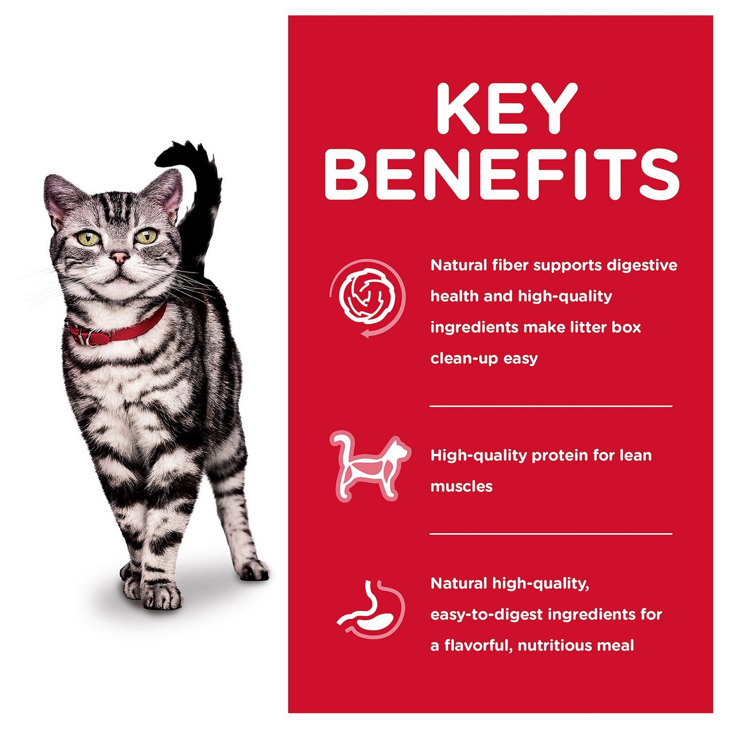 Hills Science Diet Adult Indoor Chicken Dry Cat Food