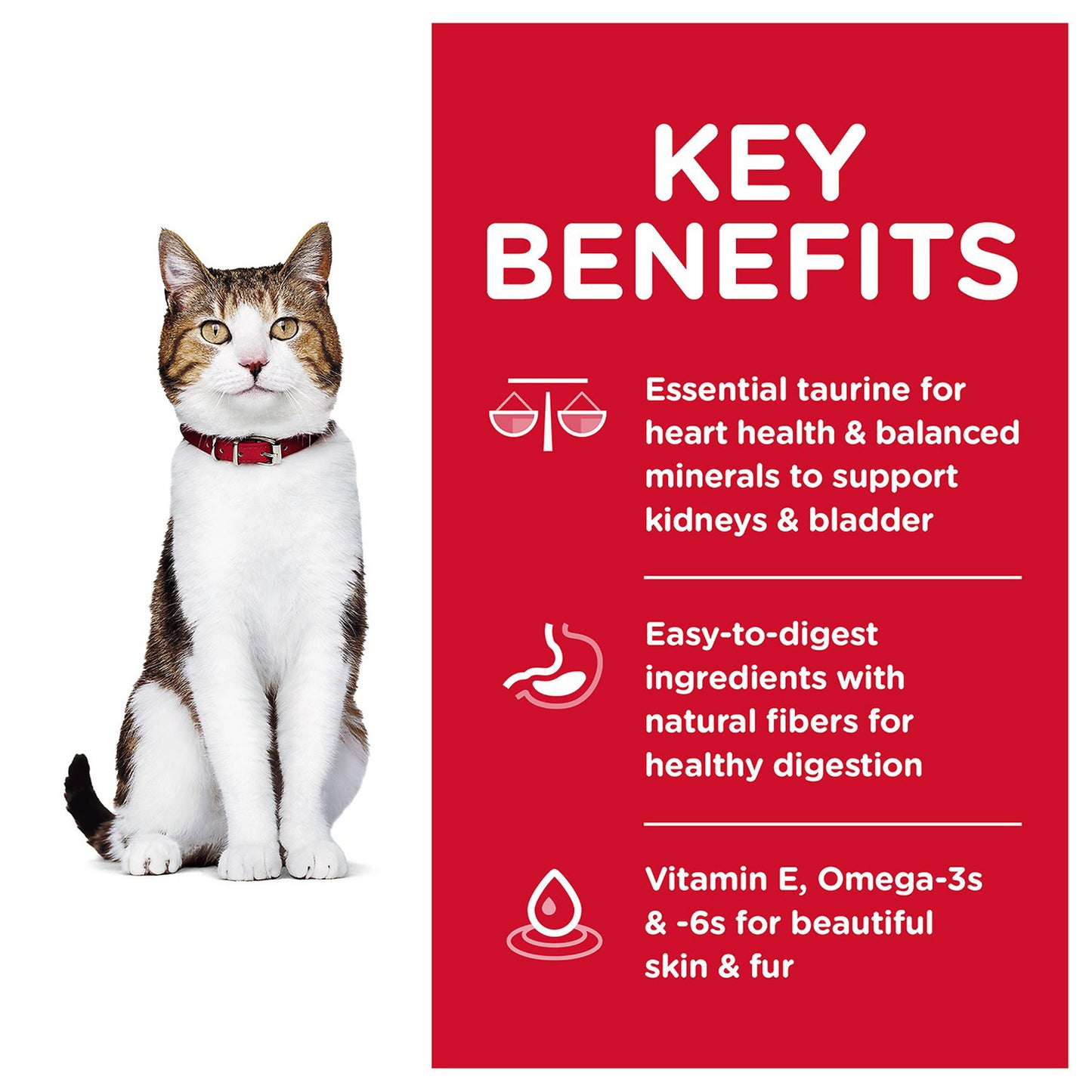 Hills Science Diet Adult 7+ Mature Active Longevity Dry Cat Food