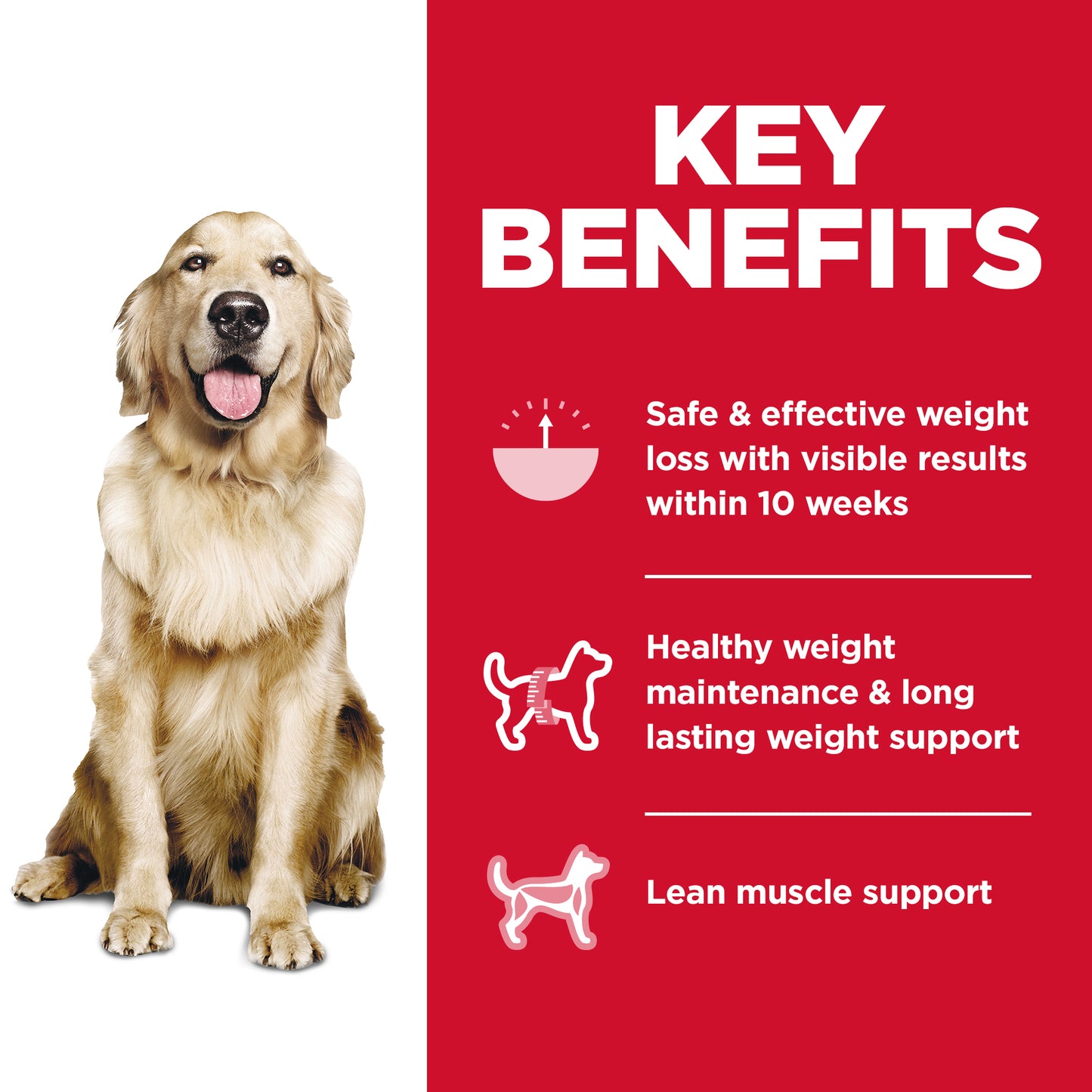 Hills Science Diet Adult Perfect Weight Chicken Dry Dog Food 12.93kg (28.5lbs)