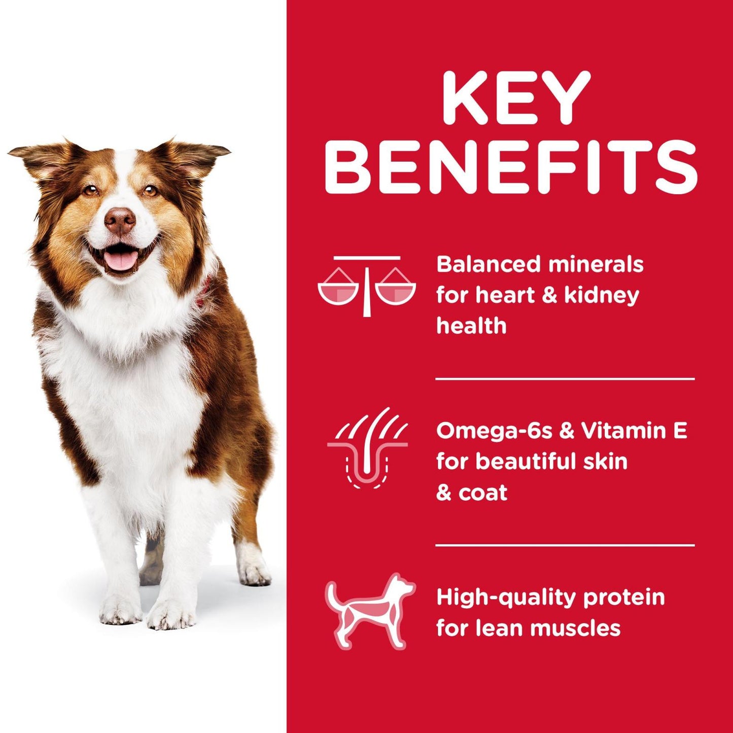 Hills Science Diet Adult 7+ Active Longevity Chicken Dry Dog Food
