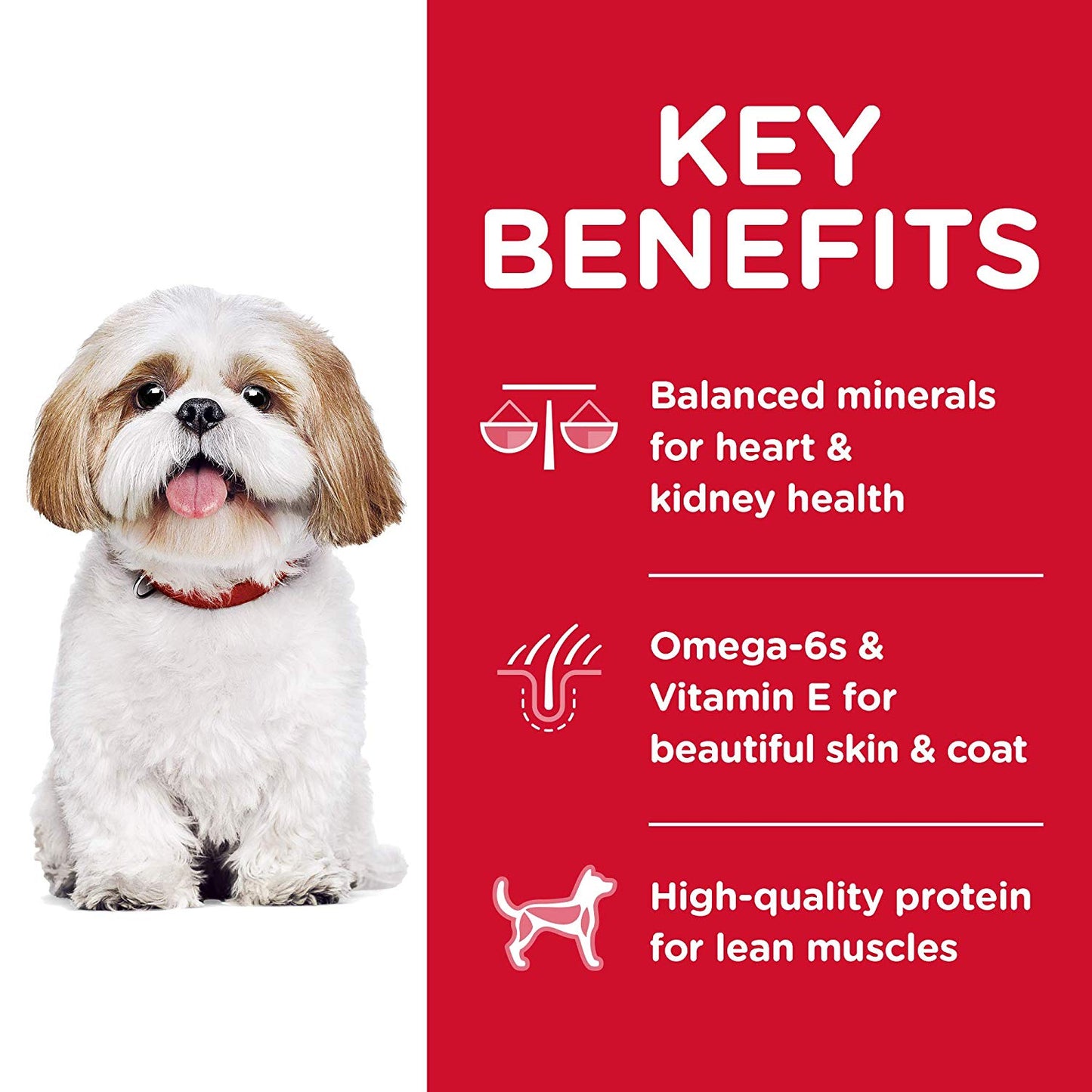 Hills Science Diet Adult 7+ Small Bites Chicken Recipe Dry Dog Food