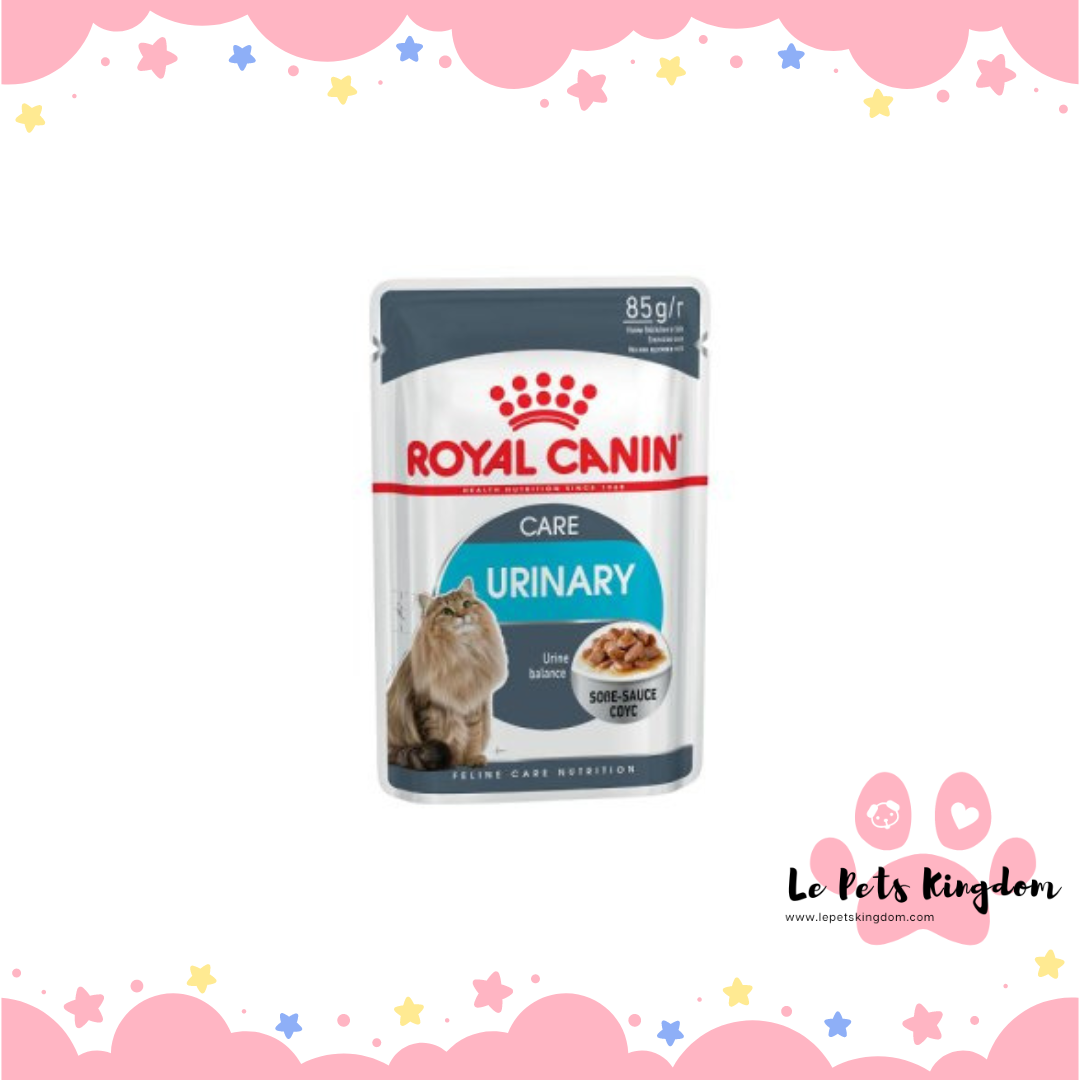 [BUNDLE OF 12] Royal Canin Feline Cat Pouch In Gravy