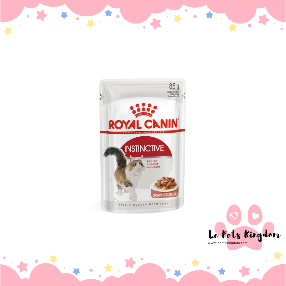 [BUNDLE OF 12] Royal Canin Feline Cat Pouch In Gravy